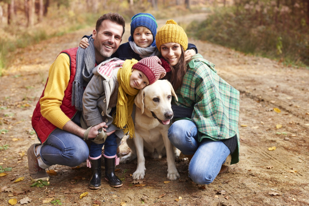 Advice on pet friendly holidays in Pembrokeshire